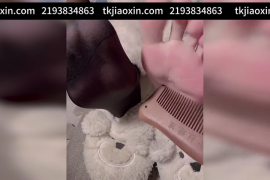 Q210喵仆白丝