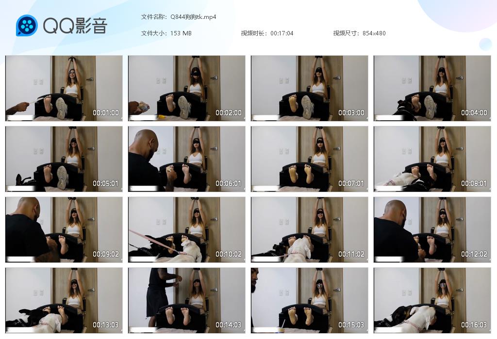Q844狗狗tk[20260918-085931].jpg
